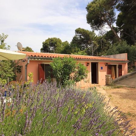 Apartments With A Parking Space Veli Losinj, Losinj - 8029 Εξωτερικό φωτογραφία