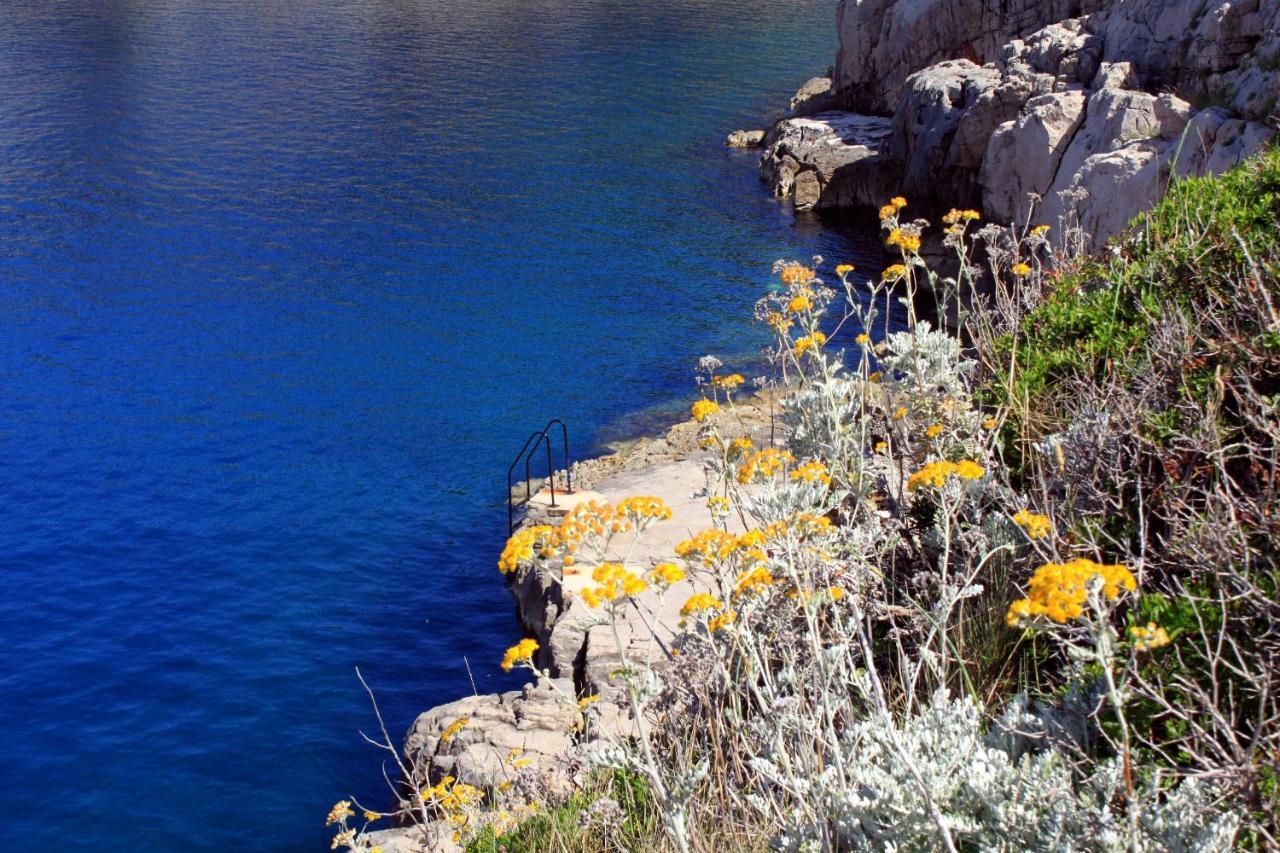 Apartments With A Parking Space Veli Losinj, Losinj - 8029 Εξωτερικό φωτογραφία