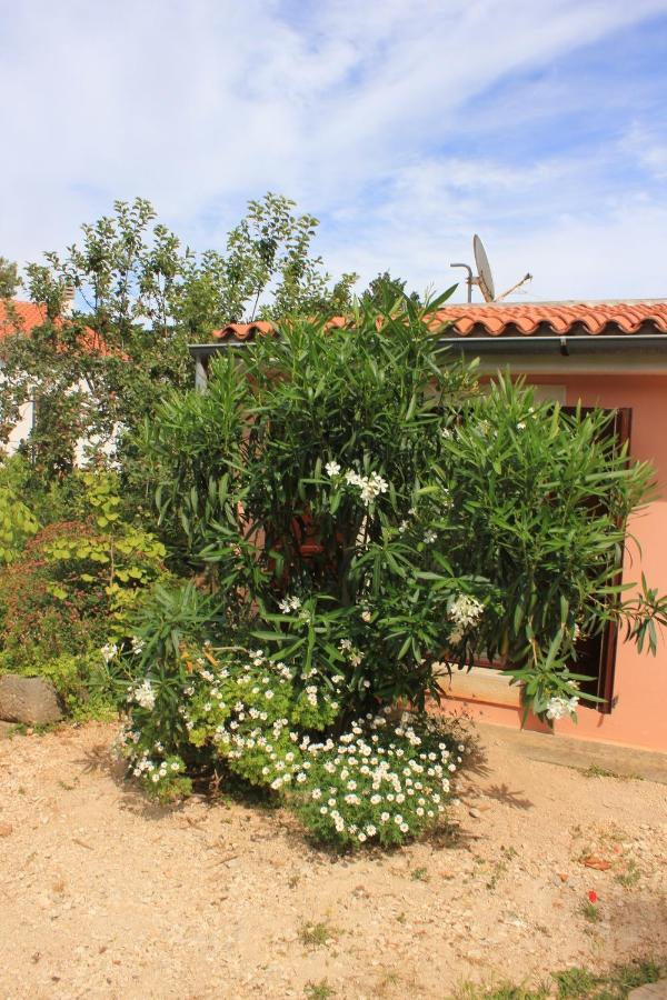 Apartments With A Parking Space Veli Losinj, Losinj - 8029 Εξωτερικό φωτογραφία