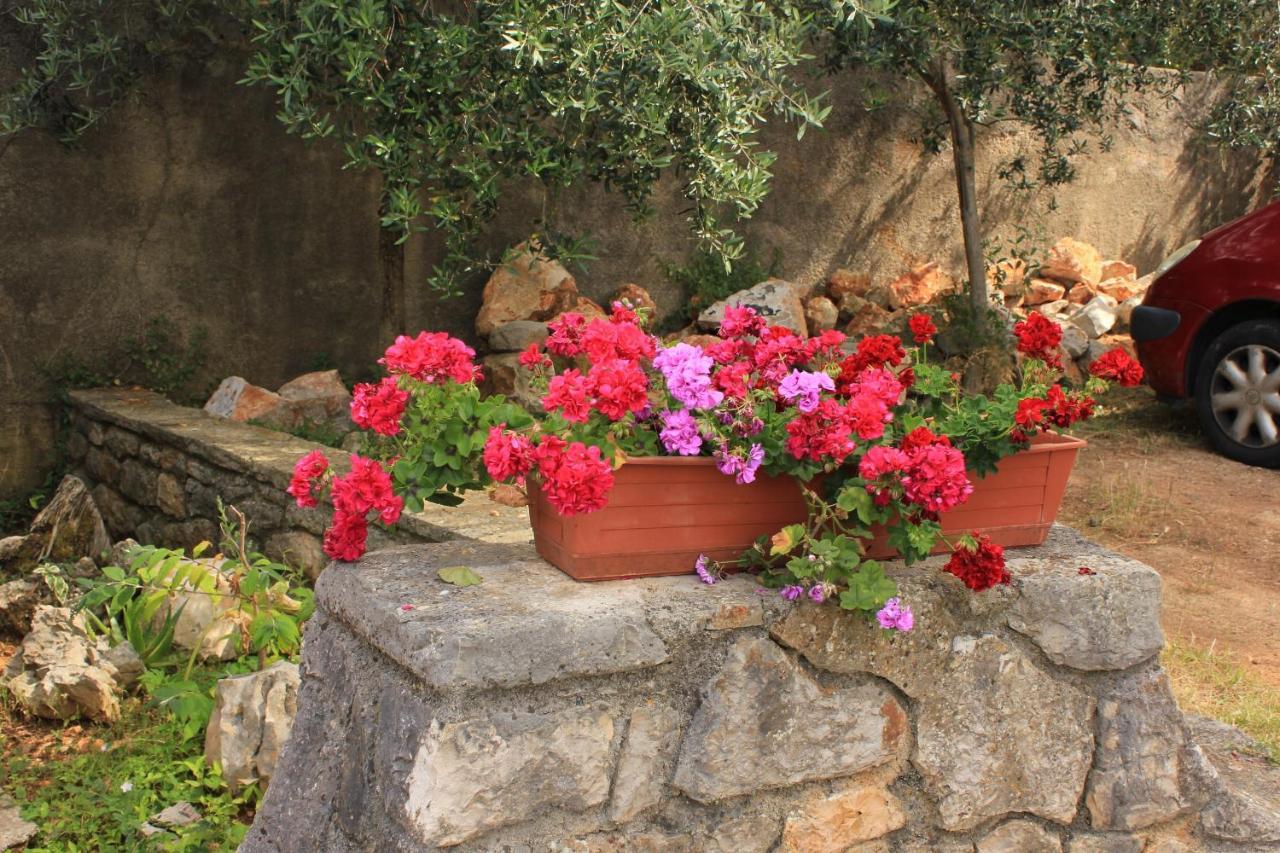 Apartments With A Parking Space Veli Losinj, Losinj - 8029 Εξωτερικό φωτογραφία