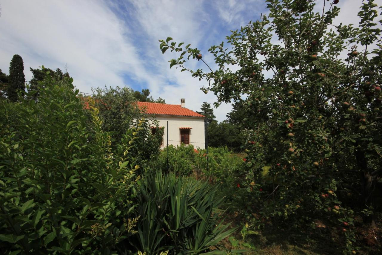Apartments With A Parking Space Veli Losinj, Losinj - 8029 Εξωτερικό φωτογραφία