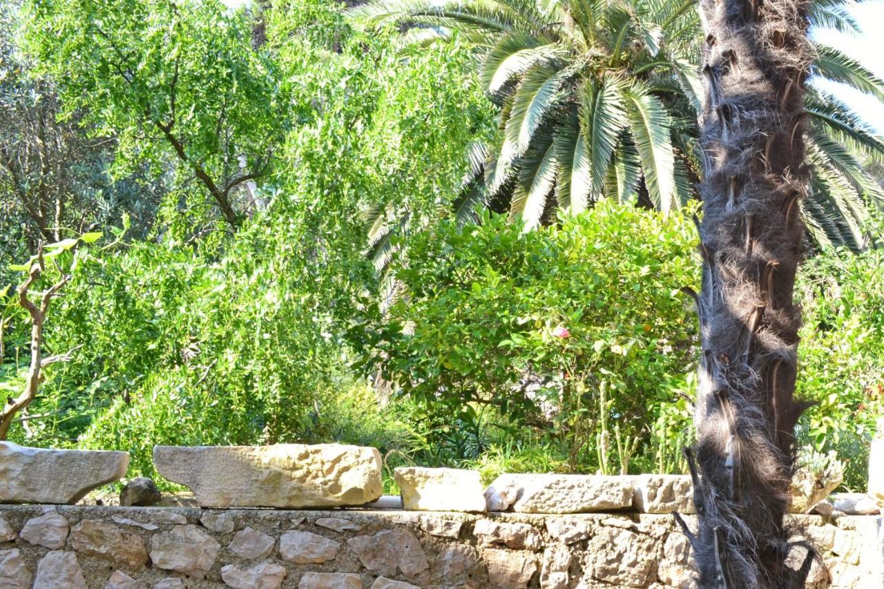 Apartments With A Parking Space Veli Losinj, Losinj - 8029 Εξωτερικό φωτογραφία